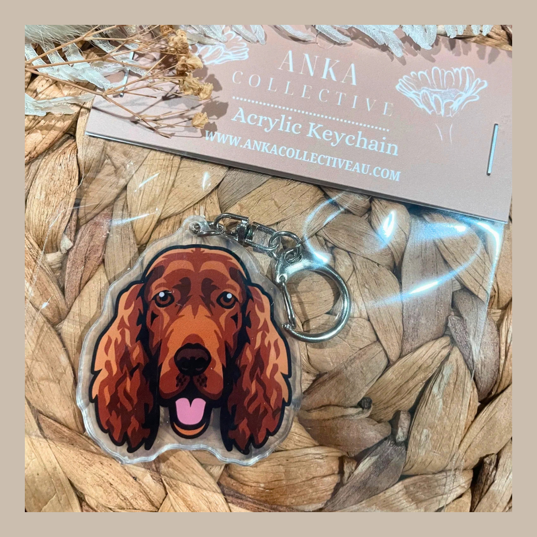 Irish Setter