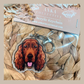 Irish Setter