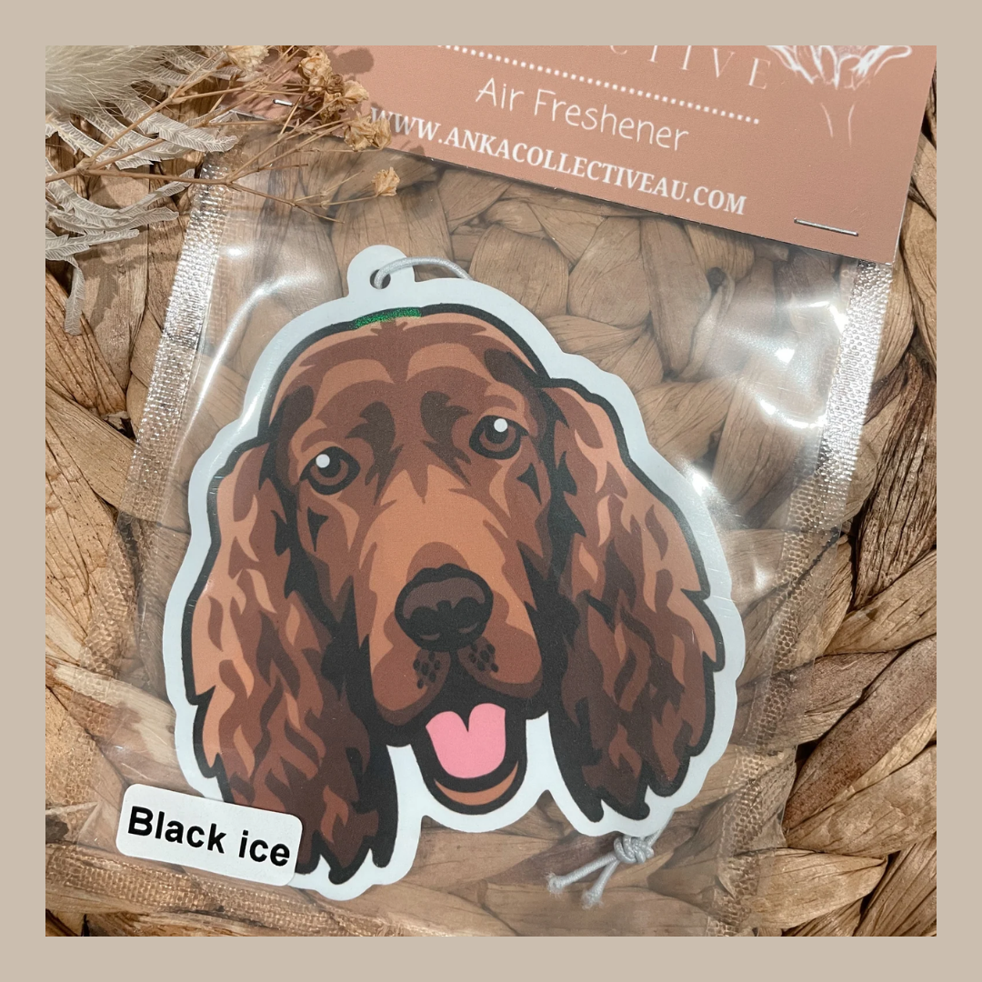 Irish Setter