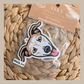 Italian Greyhound Light Fawn