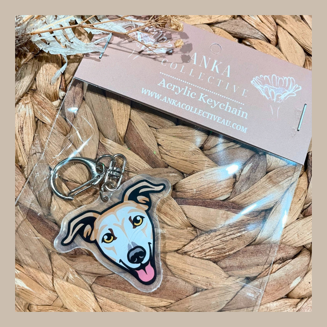 Italian Greyhound Light Fawn