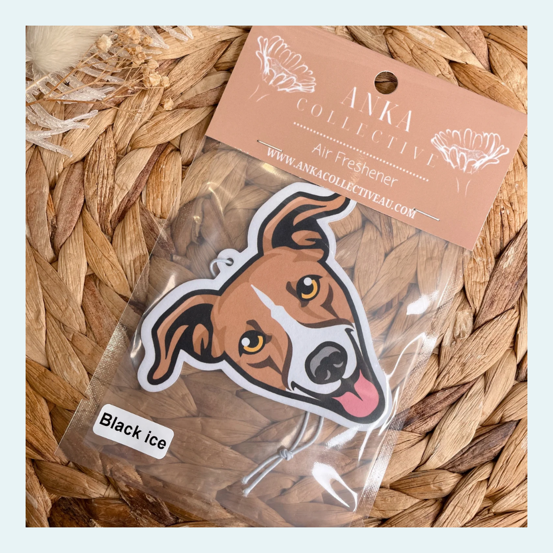 Italian Greyhound