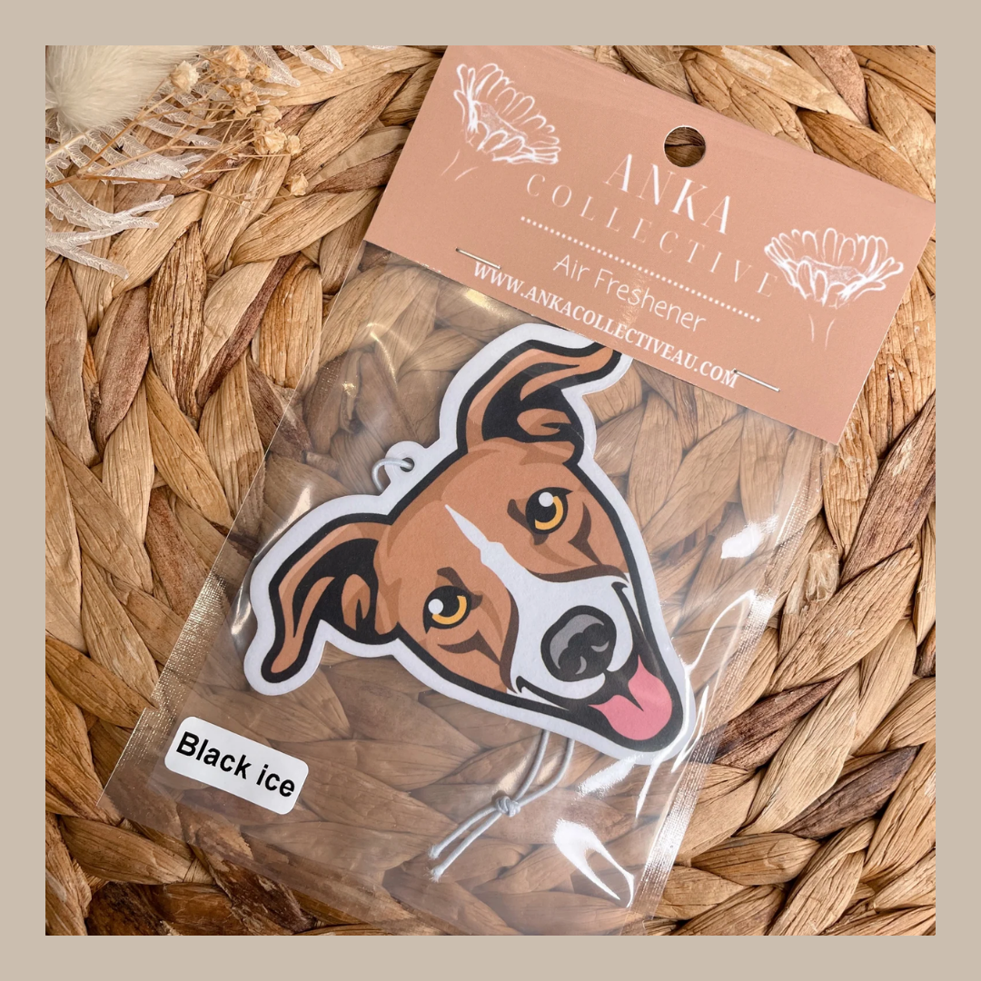 Italian Greyhound