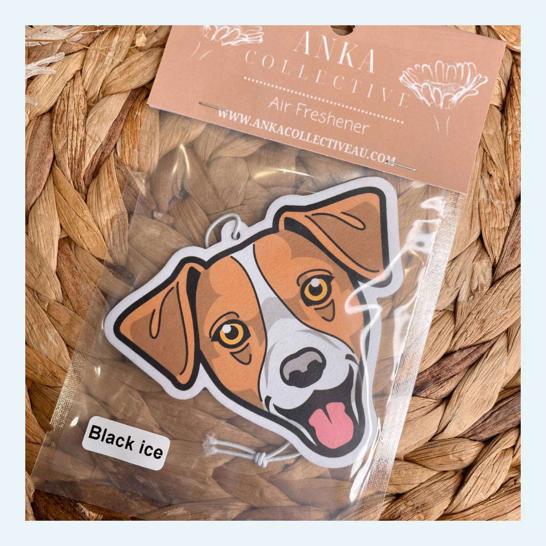 Jack Russell