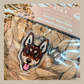 Kelpie Red