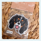 King Charles Spaniel