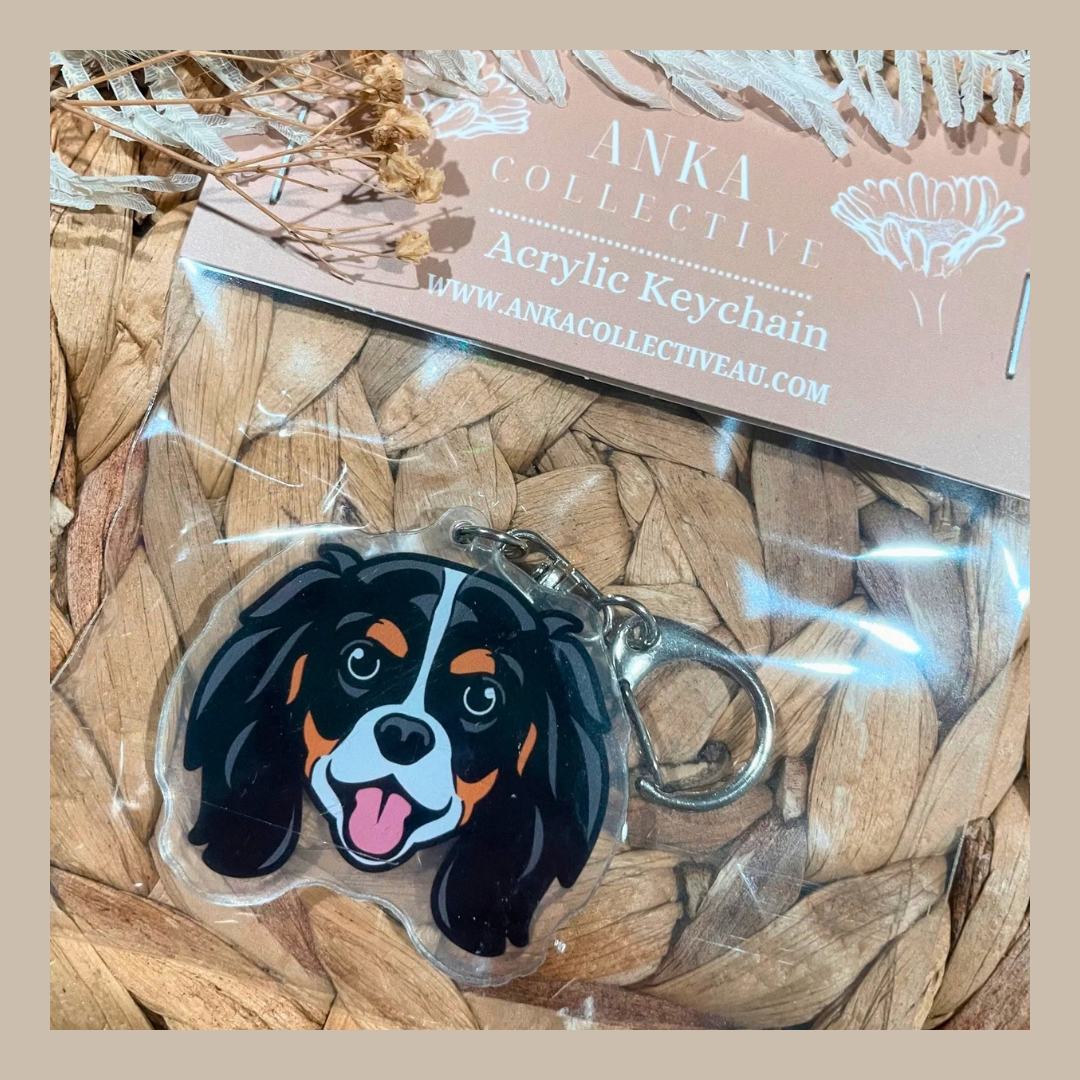 King Charles Spaniel
