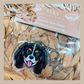 King Charles Spaniel