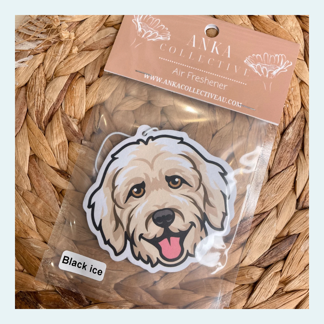 Labradoodle