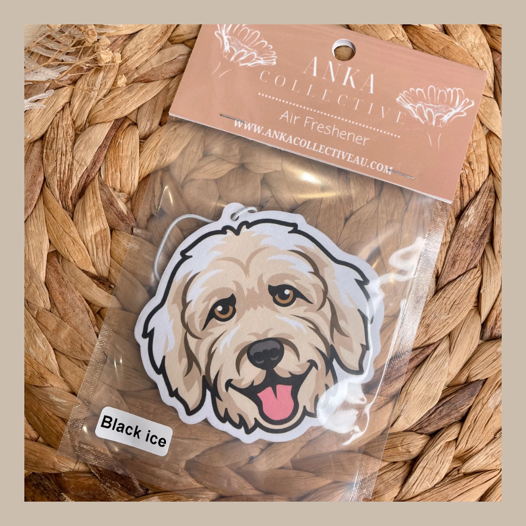 Labradoodle
