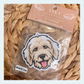 Labradoodle