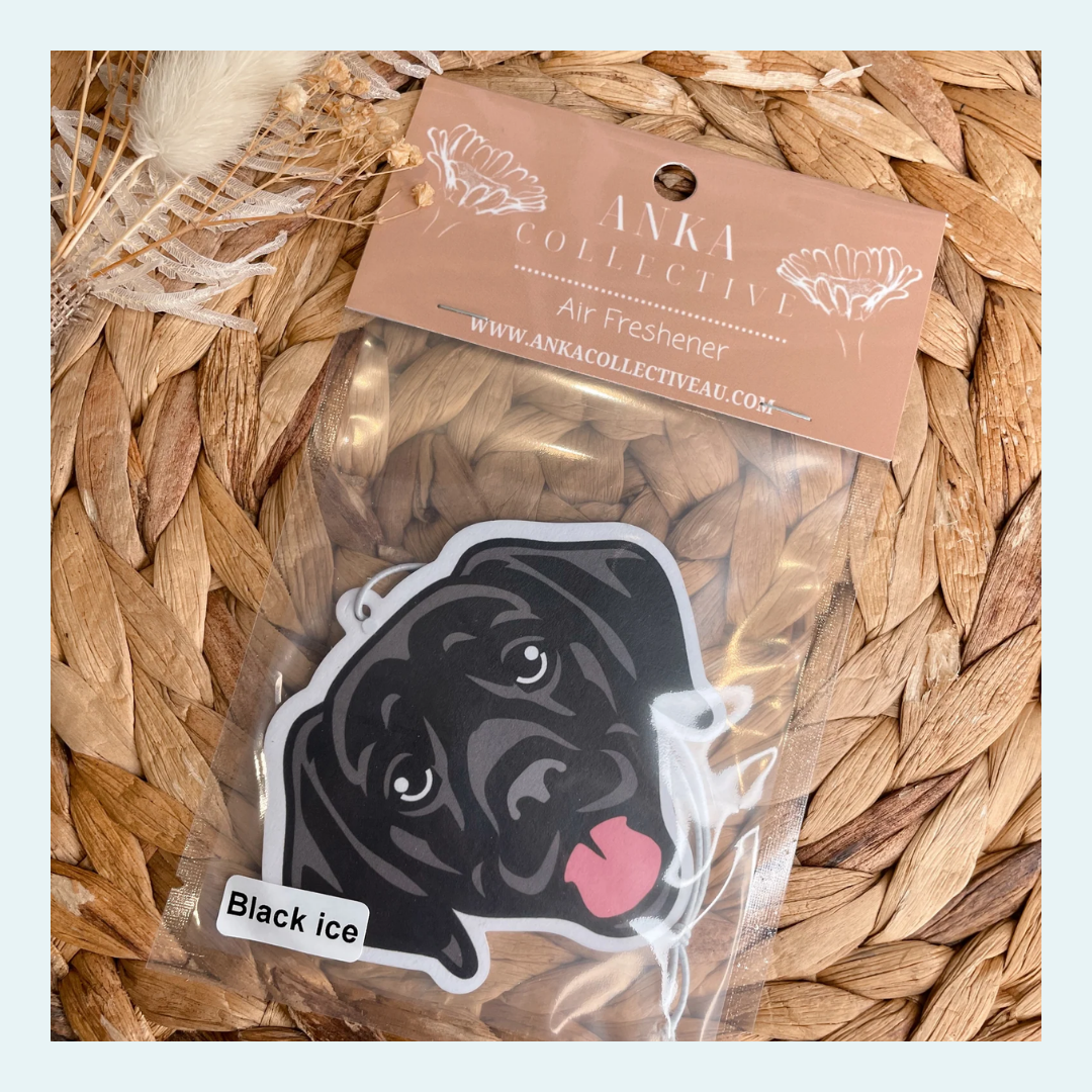 Labrador Black