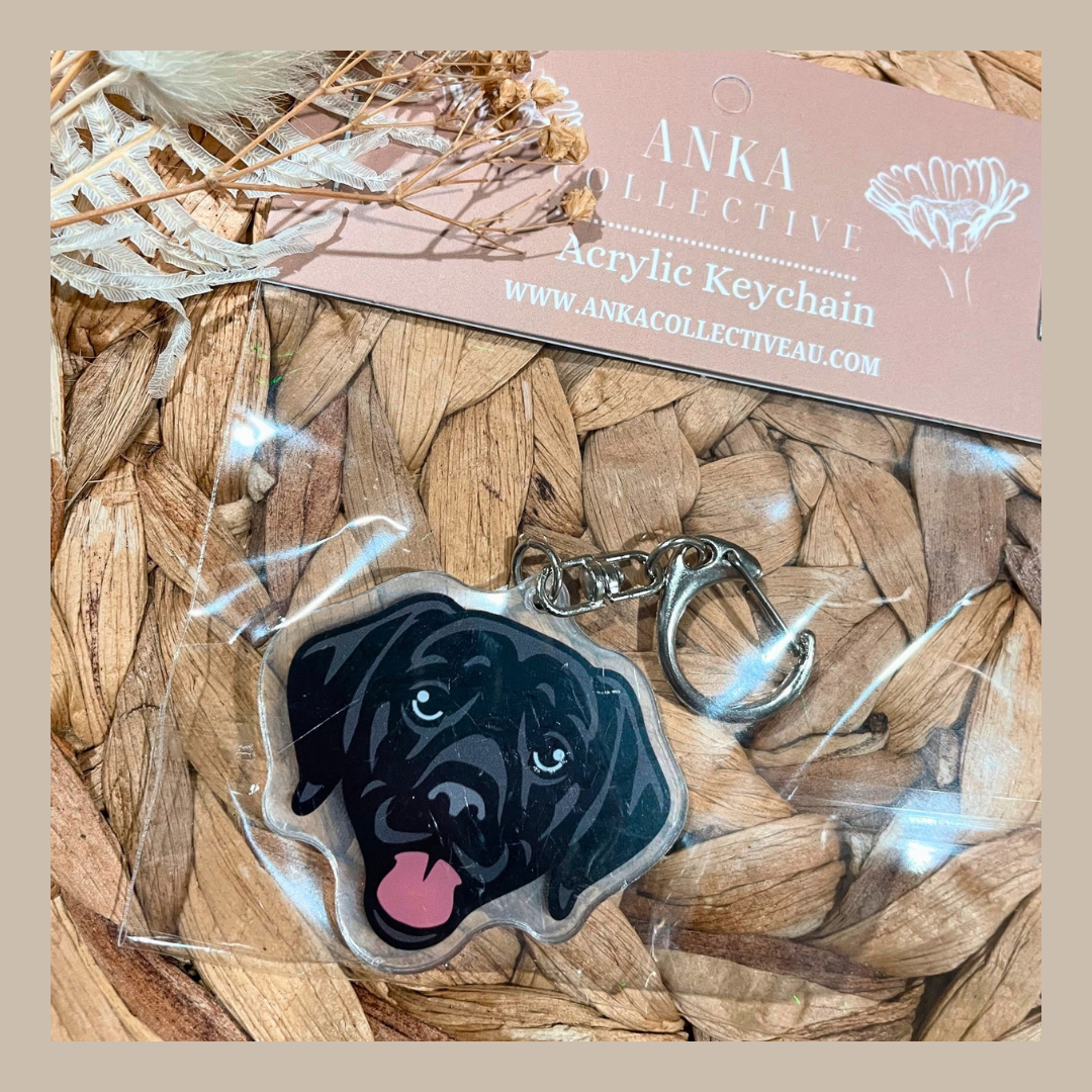 Labrador Black