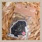 Labrador Black