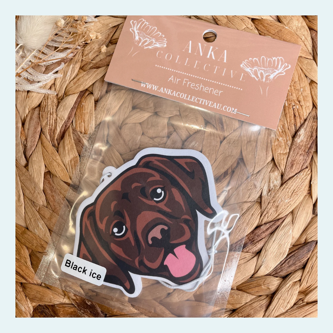 Labrador Chocolate
