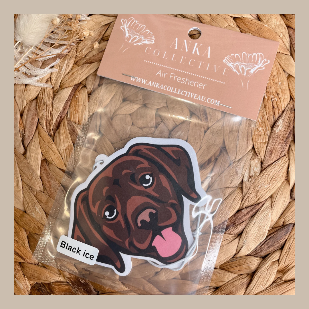 Labrador Chocolate