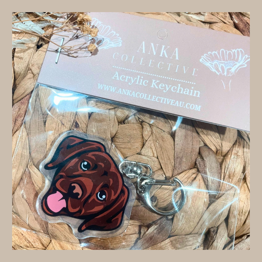 Labrador Chocolate