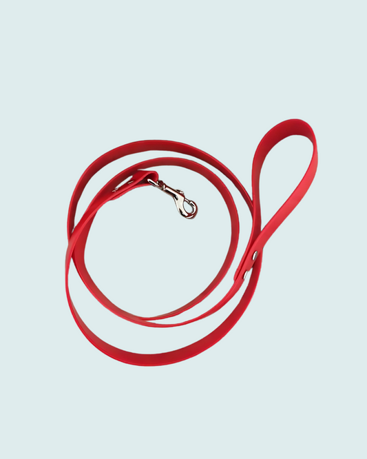 Leads