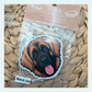 Leonberger