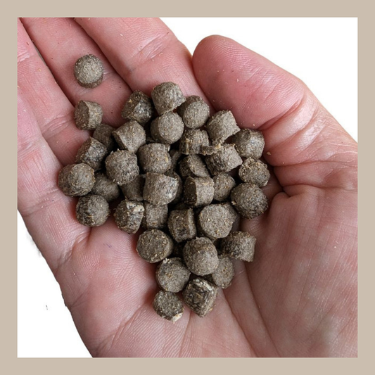 Little Insect Bites