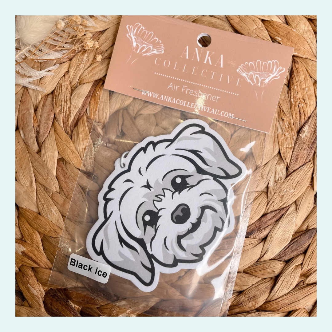 Maltese Red Merl
