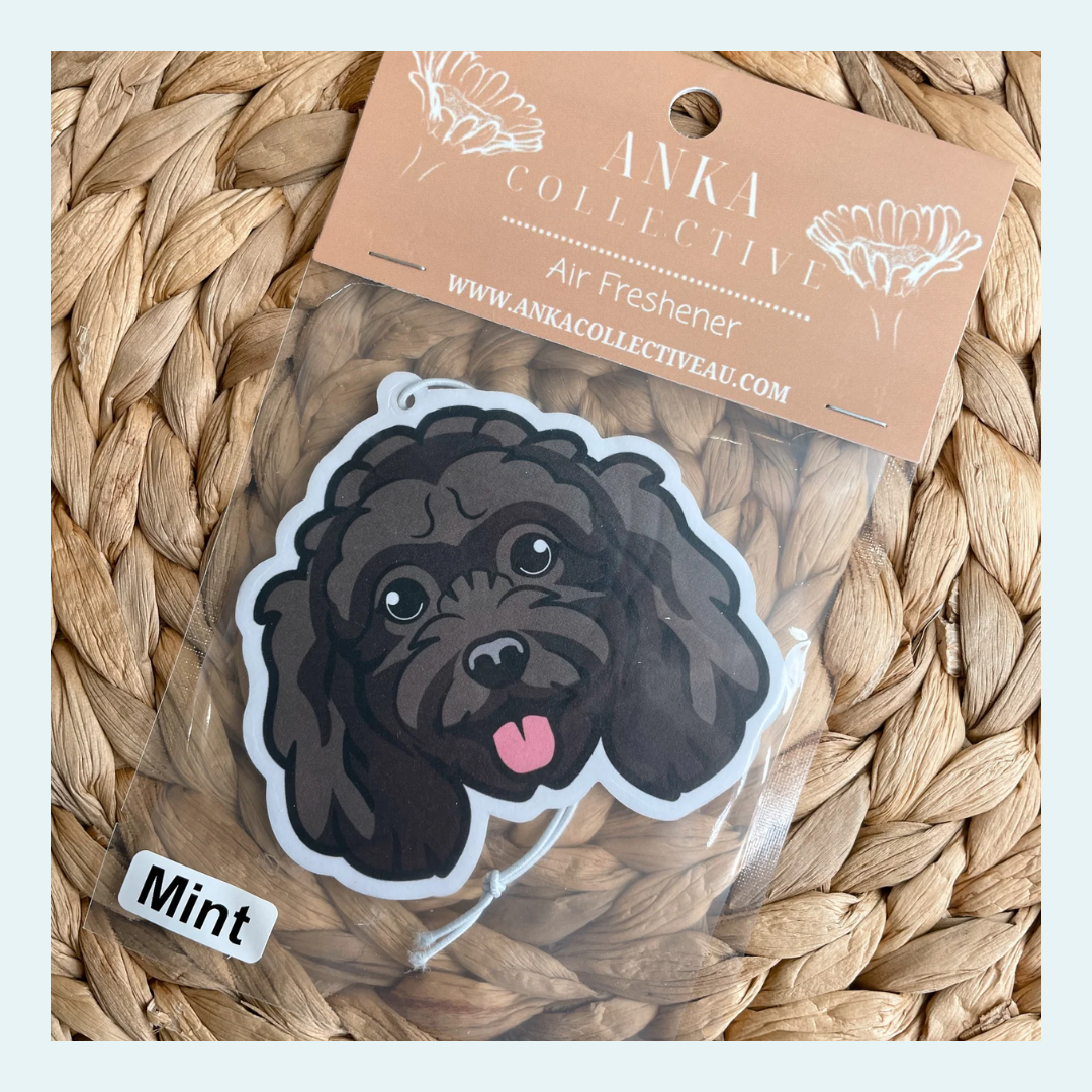 Mini Poodle Black