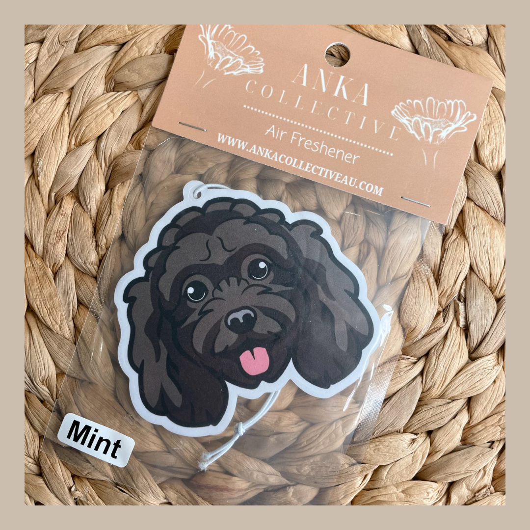 Mini Poodle Black