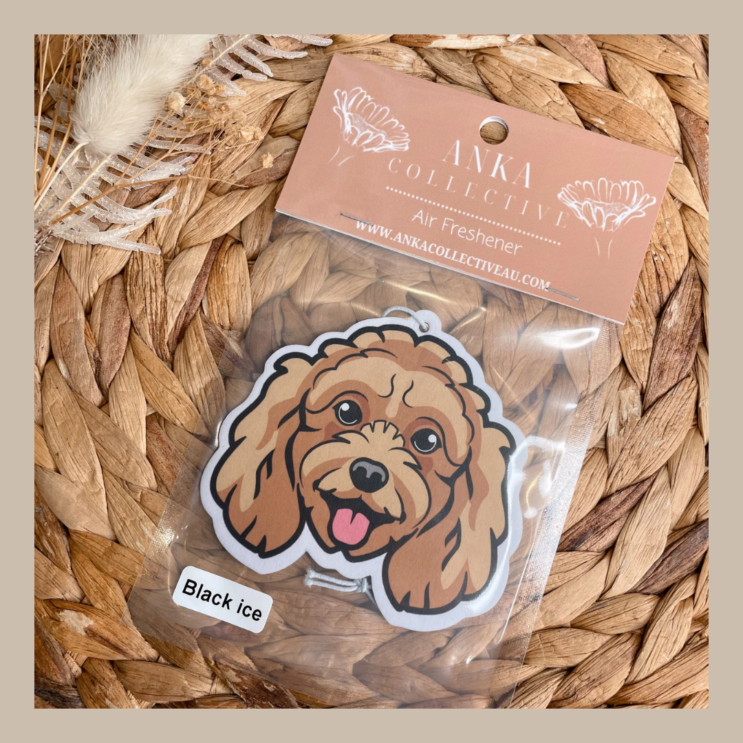 Mini Poodle Brown