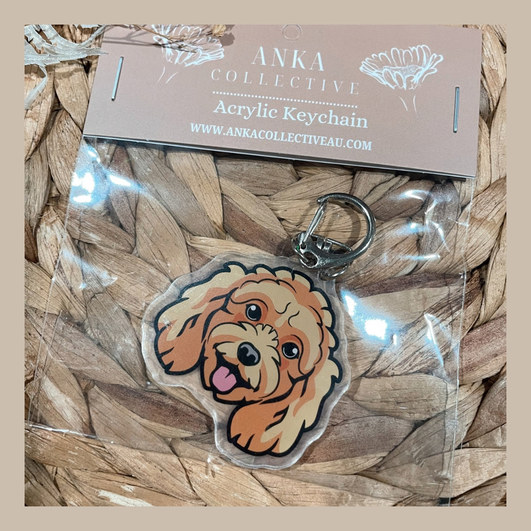 Mini Poodle Brown