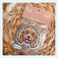 Mini Poodle Brown