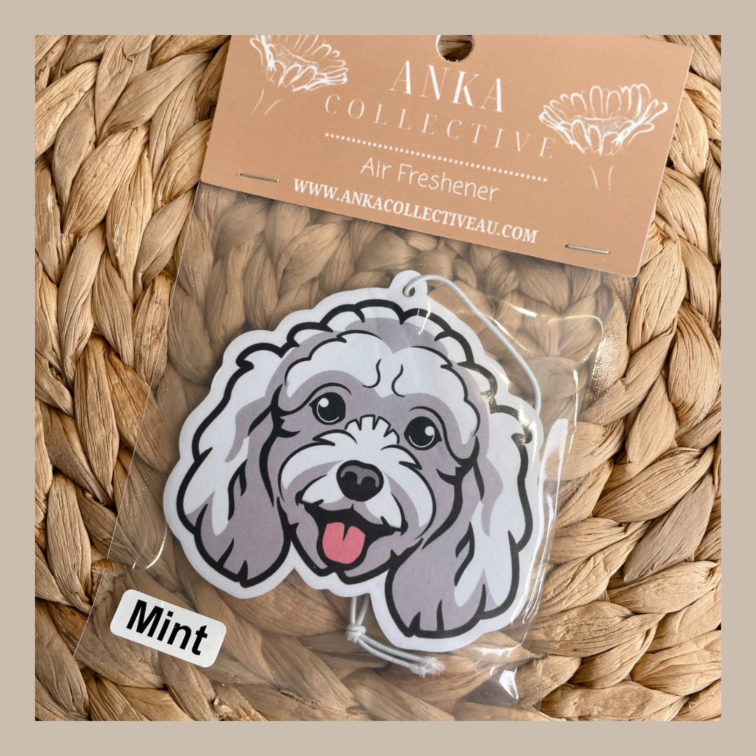 Mini Poodle White
