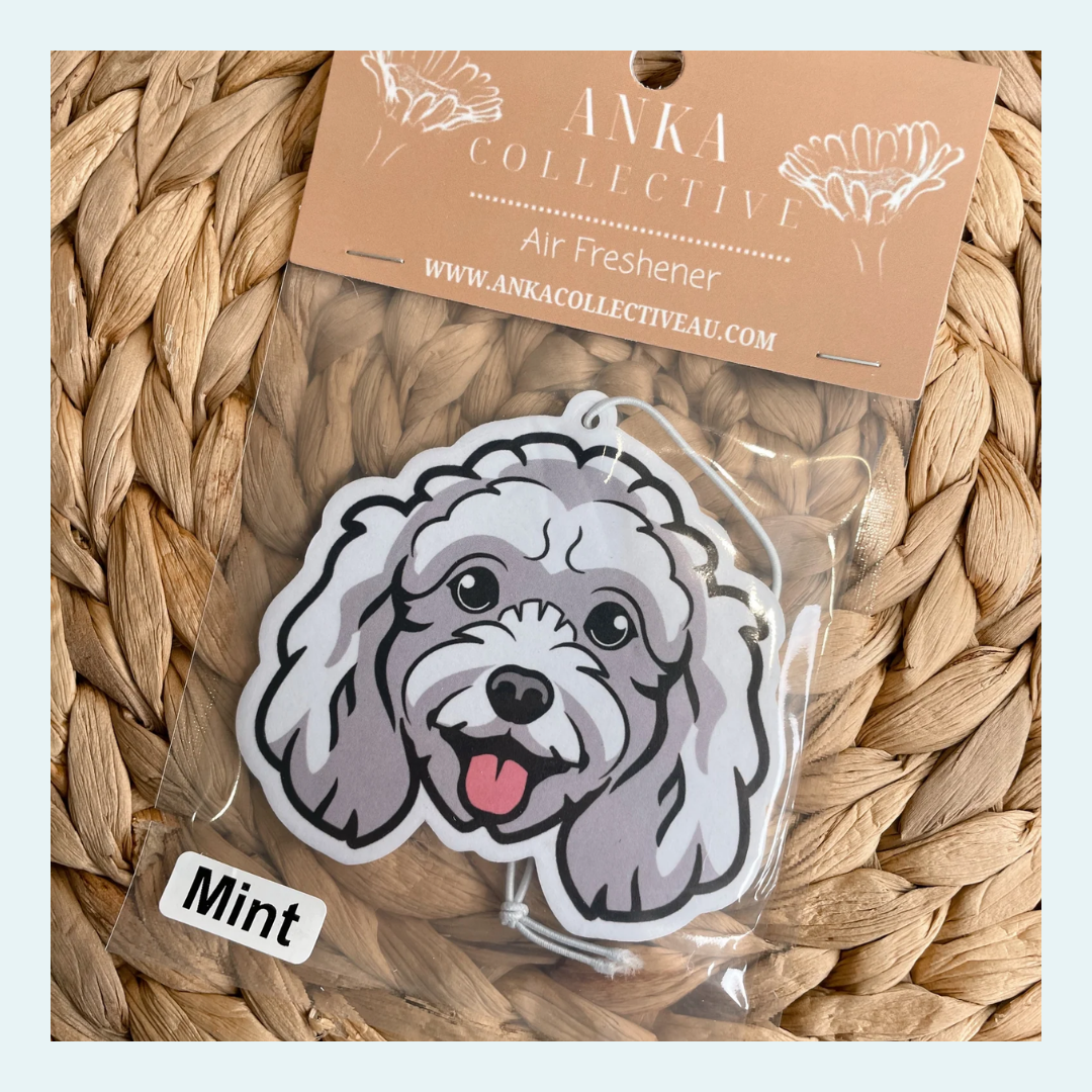 Mini Poodle White