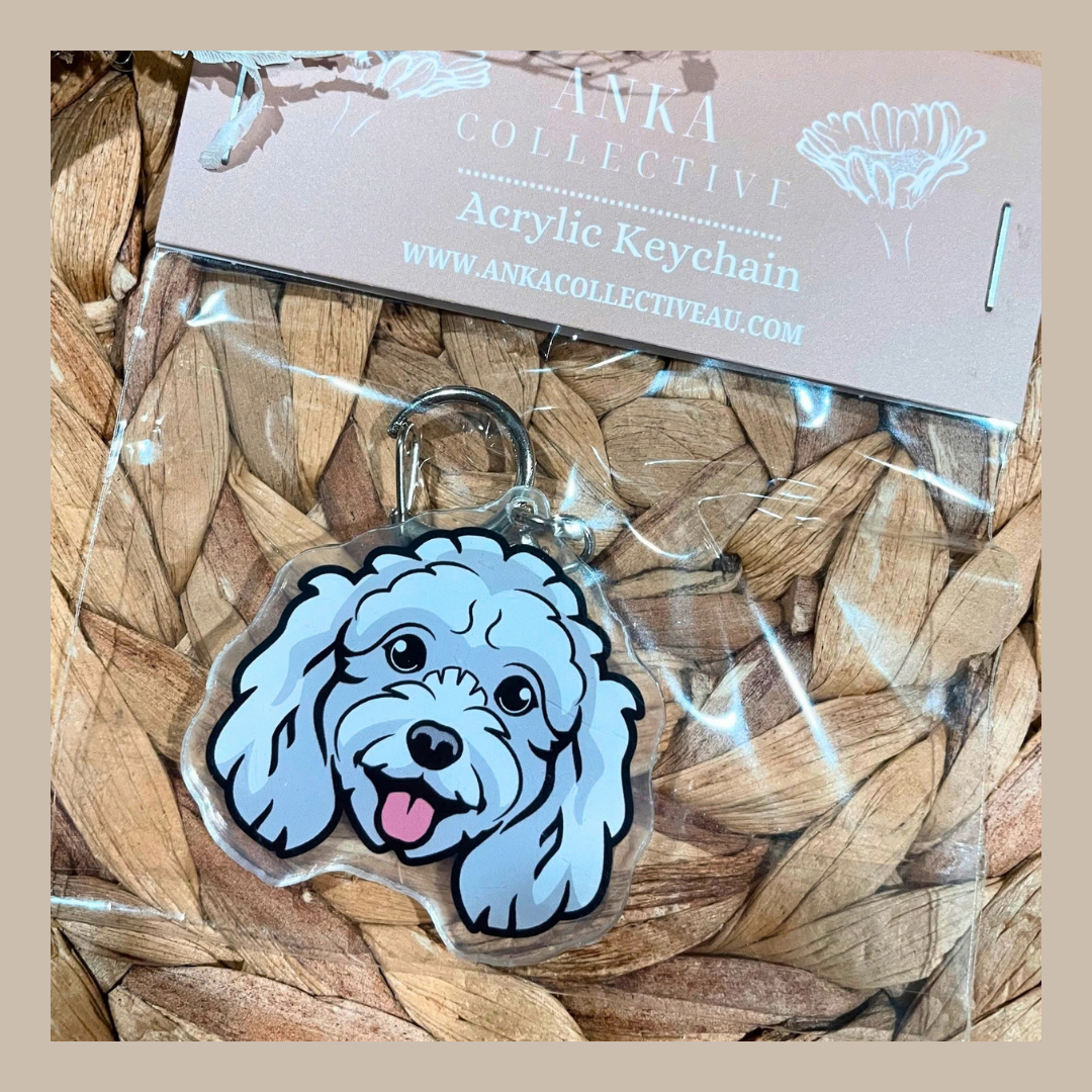 Mini Poodle White