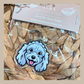 Mini Poodle White