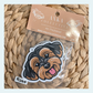 Morkie