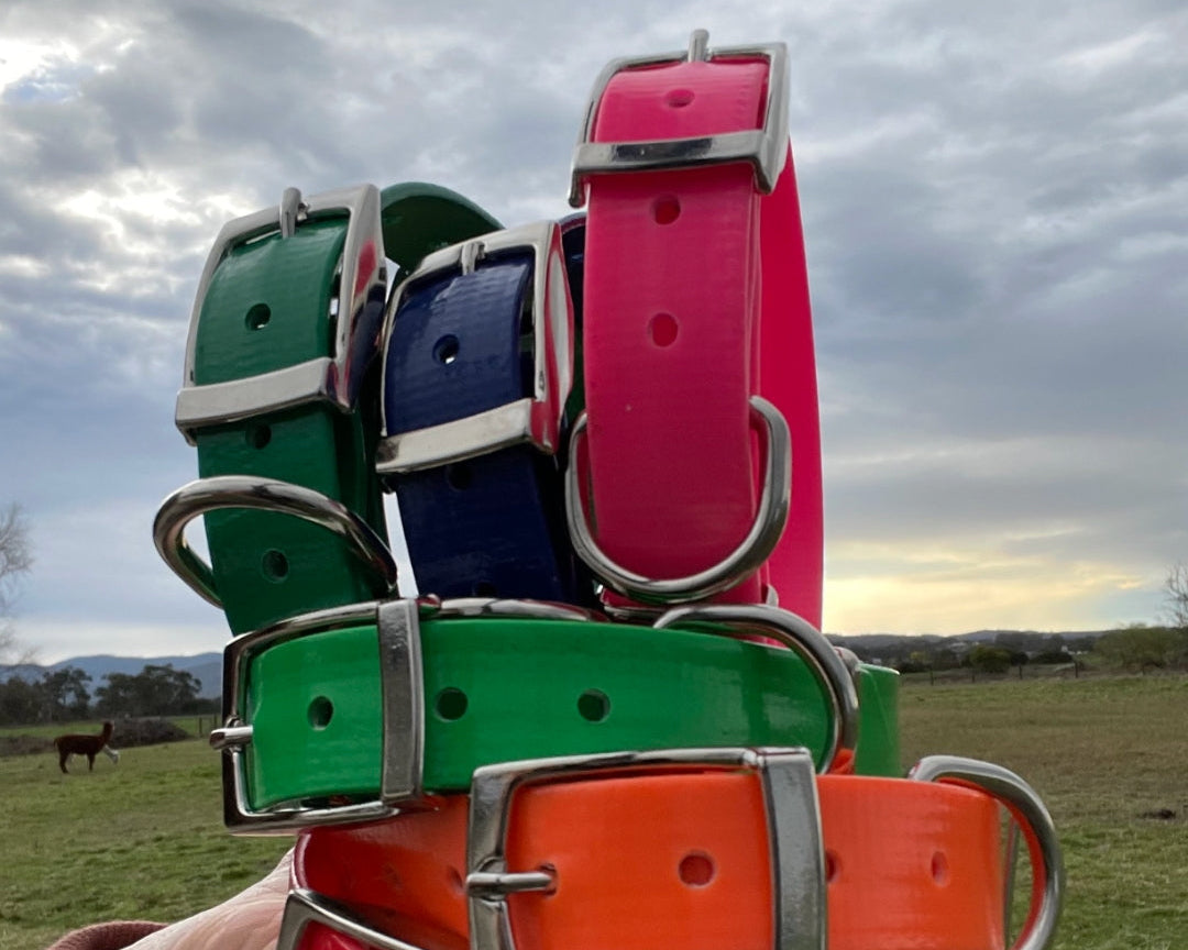 Australian made PVC dog collars