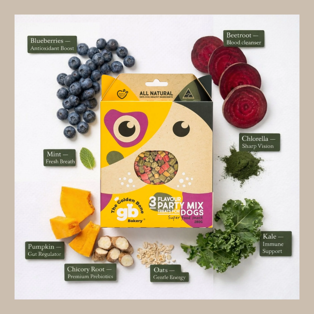 Superfood Dog Biscuits