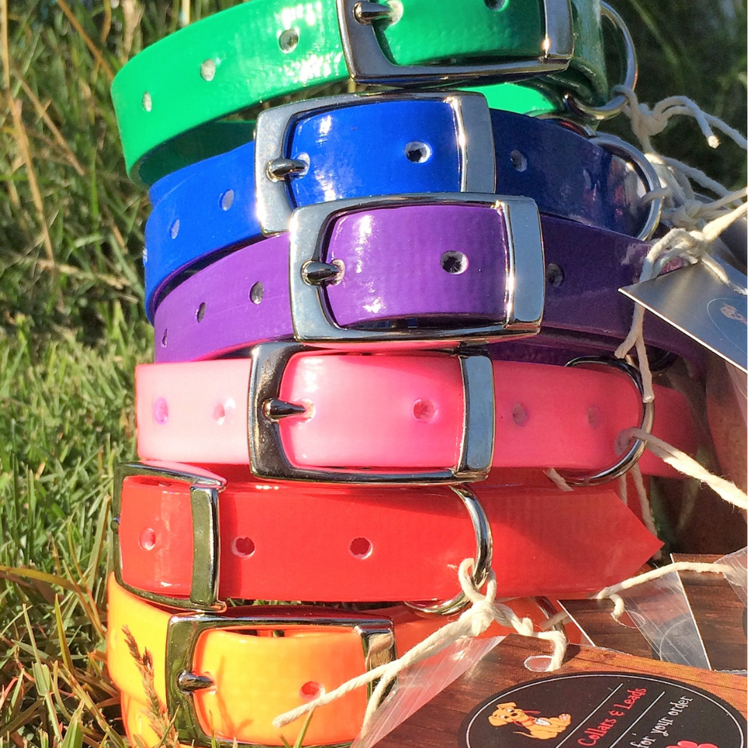 Dog Collars