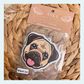 Pug