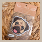 Pug