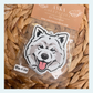 Samoyed