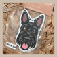 Scottish Terrier