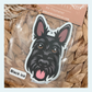 Scottish Terrier