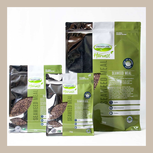 Seaweed Meal