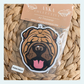 Shar Pei