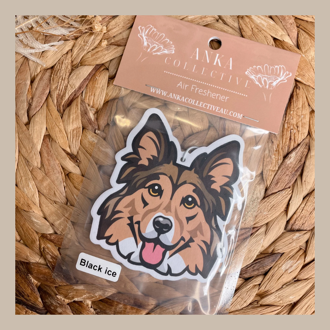 Shetland Sheepdog