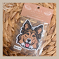 Shetland Sheepdog