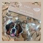 St Bernard