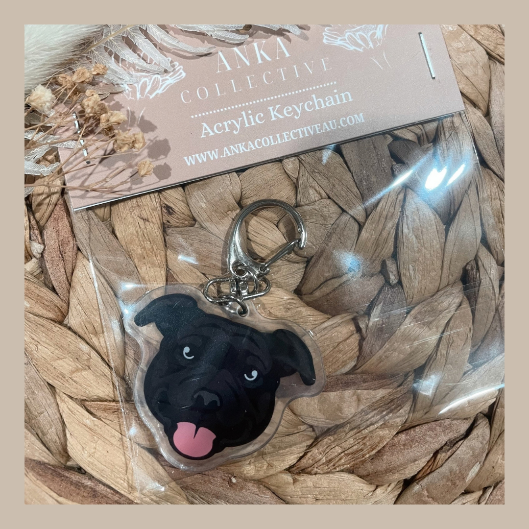 Staffy Black