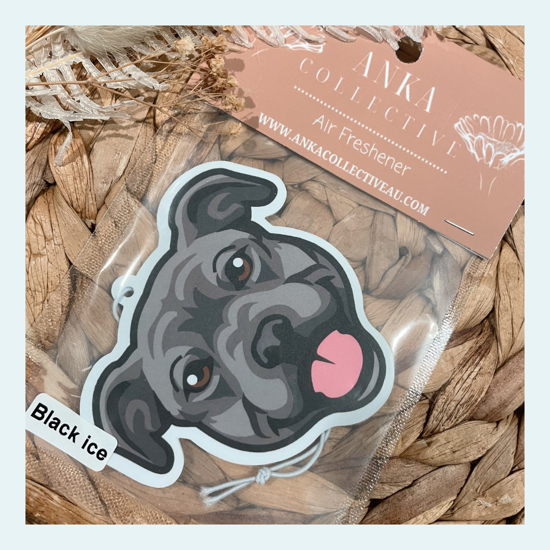 Staffy Grey